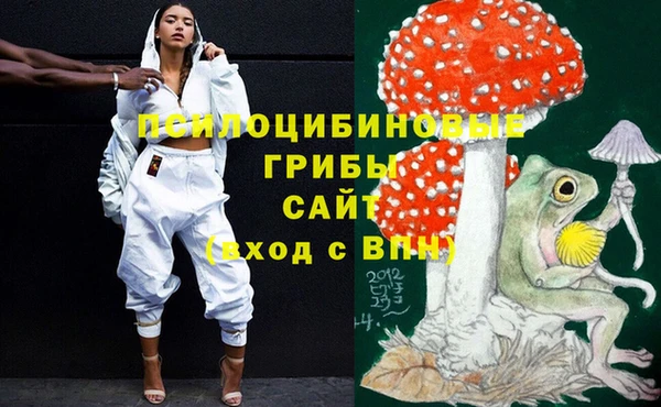 ECSTASY Алексеевка