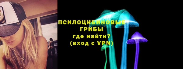 спайс Алзамай