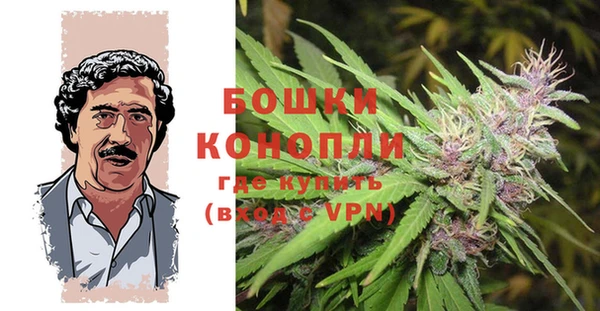 спайс Алзамай